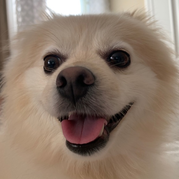 ellabellag